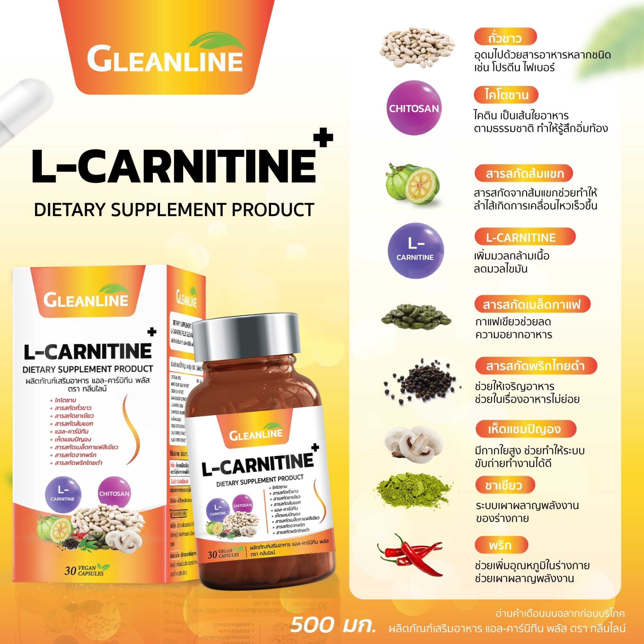 Gleanline,Gleanline L-Carnitine+,แอล-คาร์นิทีน,แอลคาร์นิทีน
